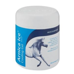 ARNICA ICE