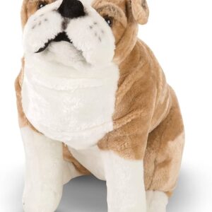 JENAM BULLDOG TEDDY