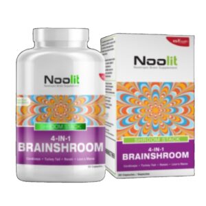NOOLIT SHROOM 4 IN 1
